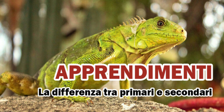 Apprendimento per scoperta: qualche chiarimento necessario ed autorevole